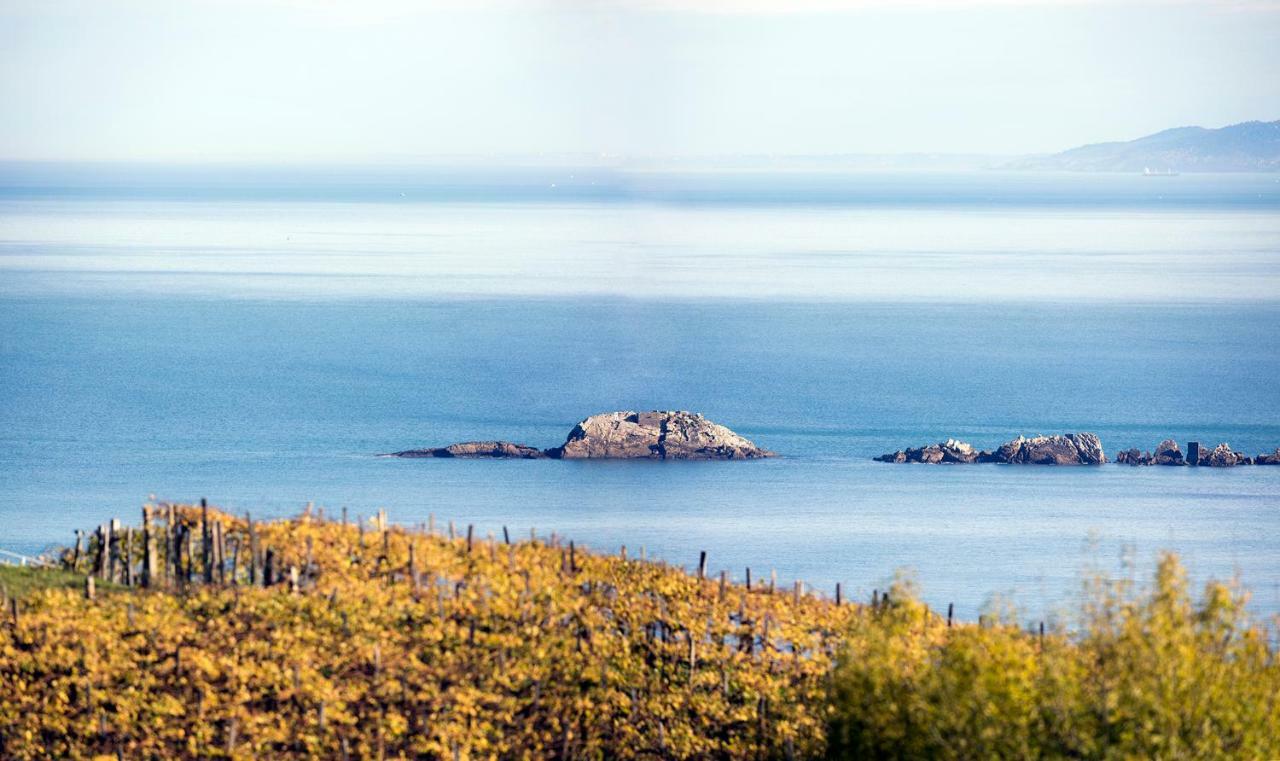 Appartamento Aterian Pilartxo Enea Zarautz Esterno foto